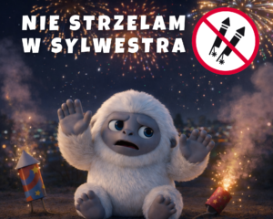 Read more about the article Nie strzelam w Sylwestra