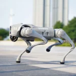 Robot Pies Unitree Go2 Pro/AI – nowość na półkoloniach letnich