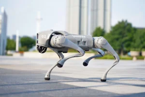 Read more about the article Robot Pies Unitree Go2 Pro/AI – nowość na półkoloniach letnich